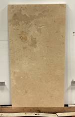 ID #9520 - 20" x 39"